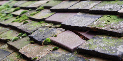 Winslow roof repair costs